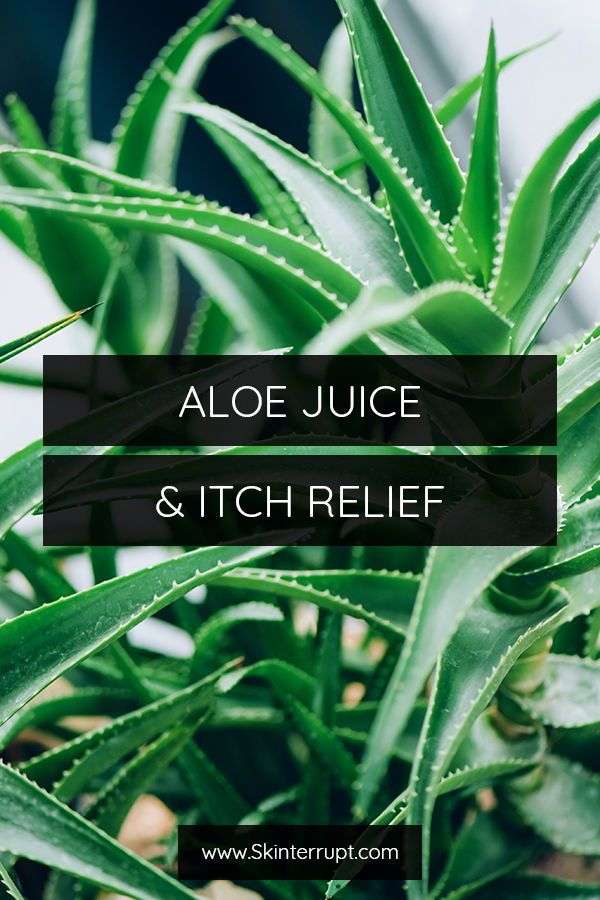 077: Aloe Juice &  Itch Relief