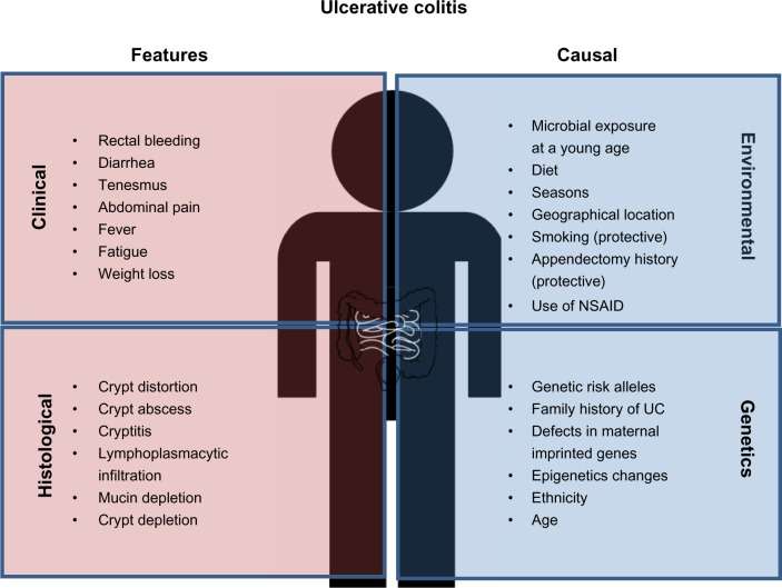 Clinical and histological features of ulcerative colitis ...