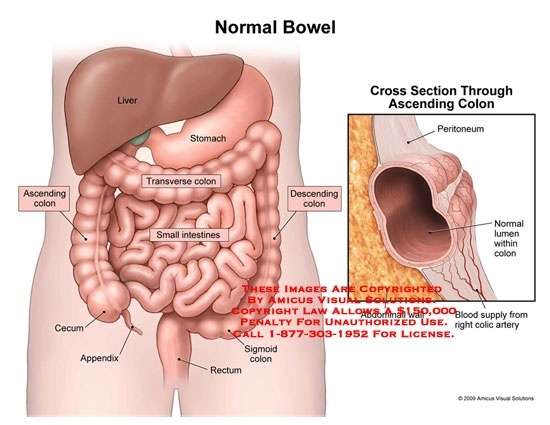 Does this seem like Gastritis or an Ulcer?