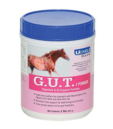Top 5 Best Horse Ulcer Supplements Reviews (2020)