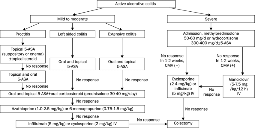 Treatment algorithm of active ulcerative colitis. 5